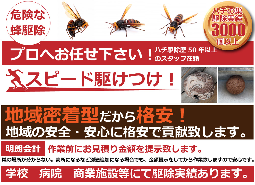 ハチ駆除仙台
