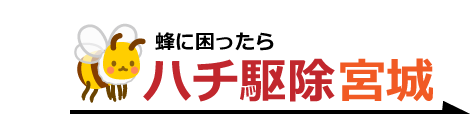 ハチ駆除　仙台